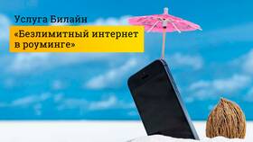 Билайн как дома: удобный роуминг по России в ДНС