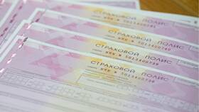 Что дает страховка автомобиля в ДНС