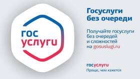 Что такое государственная услуга: определение