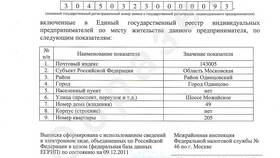 Что такое лист записи ЕГРИП для ИП в ДНС