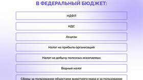 Что такое налоги и государственный бюджет в ДНС
