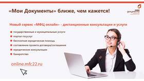 Что такое оказание государственных услуг в ДНС