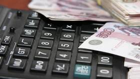 Что включают в себя доходы предприятия в ДНС