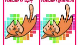 Что значит размыть акции в компании в ДНС