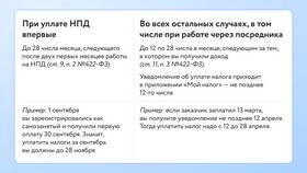Что значит самозанятый в системе ФНС в ДНС