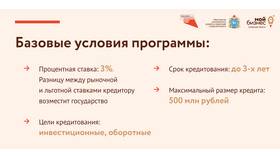 Для чего предназначены целевые кредиты в ДНС