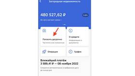 Как быстро закрыть кредит в ДНС