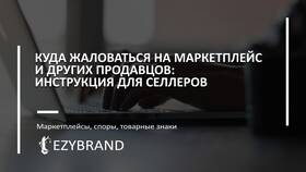 Как обжаловать решение комиссии: пошаговая инструкция в ДНС