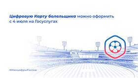 Как оформить Fan ID через Госуслуги в ДНС