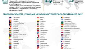 Как оформить иностранцу электронную визу в ДНС