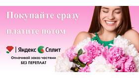 Как оплачивать Яндекс Сплит в магазинах в ДНС