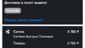 Как оплатить заказ на Ozon через СБП в ДНС