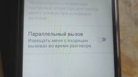 Как отключить запрет номера на телефоне в ДНС