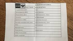 Как отправить посылку через Авито в ДНС