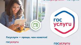 Как переоформить социальные выплаты в ДНС