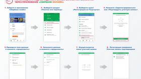 Как подать заявление на Госуслугах: пошаговая инструкция в ДНС