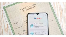 Как подтвердить СНИЛС ребенка на Госуслугах в ДНС