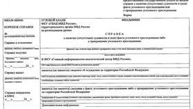 Как погасить судимость: условия и процедура в ДНС