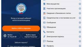 Как получить ИНН через личный кабинет в ДНС