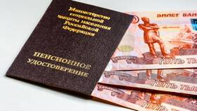 Как получить накопительную часть пенсии в 2025 году в ДНС