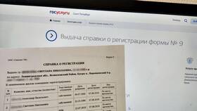 Как получить сведения о трудовой деятельности через Госуслуги в ДНС