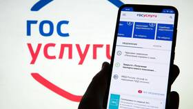 Как получить выписку из ЕГРН на земельный участок в ДНС