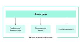 Как правильно рассчитать проценты от заработной платы в ДНС