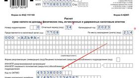 Как проверить ОКТМО по ИНН в ДНС
