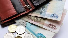 Как рассчитать доходы относительно прожиточного минимума в ДНС