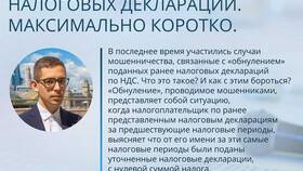 Как самостоятельно сдать налоговую декларацию в ДНС