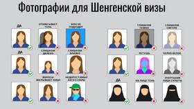 Как сделать шенгенскую визу: пошаговая инструкция в ДНС