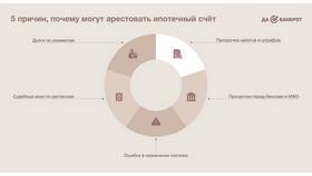 Как снимается арест с имущества и счетов в ДНС