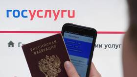 Как создать ИНН через Госуслуги в ДНС