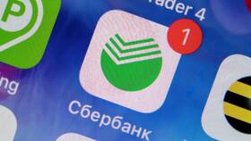 Как вернуть ошибочный перевод через СберБанк Онлайн в ДНС