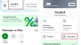 Как вернуть ошибочный платеж в Сбербанке в ДНС