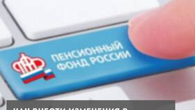 Как внести изменения в Пенсионный фонд РФ (ПФР) в ДНС