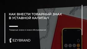 Как внести вклад в уставный капитал в ДНС