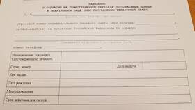 Как выглядит справка о пенсии в ДНС