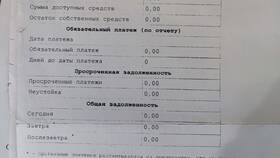 Как выглядит справка о счете из Сбербанка в ДНС