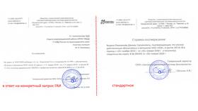 Как выглядит справка-подтверждение в ДНС