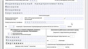 Как заполнить декларацию по упрощенной системе налогообложения в ДНС