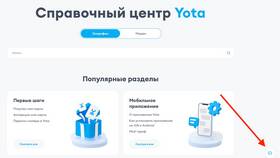 Проверка услуг и баланса в Yota в ДНС