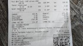 Сколько стоит апельсинка в Пятерочке в рублях в ДНС