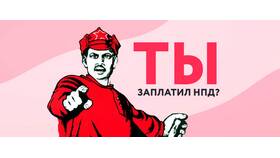 В чем отличие штрафа от пени в ДНС