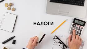 Законные способы минимизации налоговых обязательств в ДНС