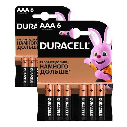 Батарейка Duracell Basic AAА LR03 6шт в ДНС