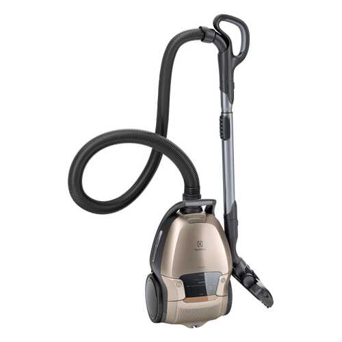 Пылесос Electrolux PD91-8SSM Gold в ДНС